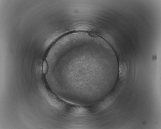 X0000111860348200909031757