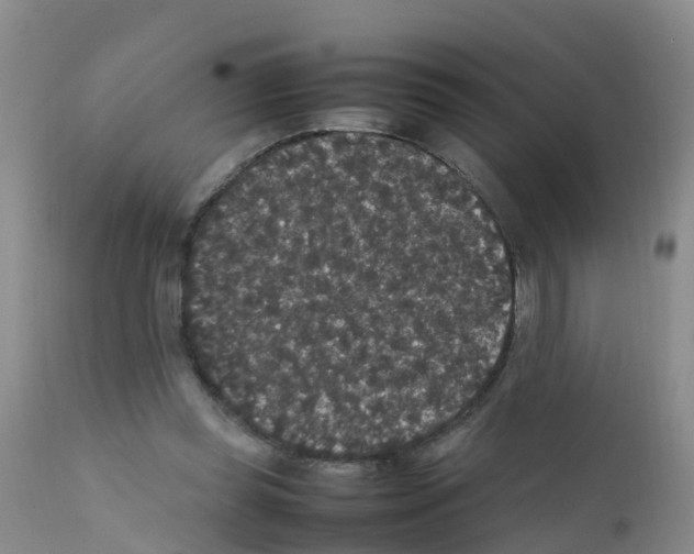 X0000111860349200909031757