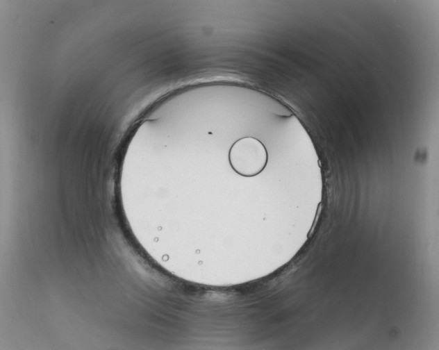 X0000111860350200909031757