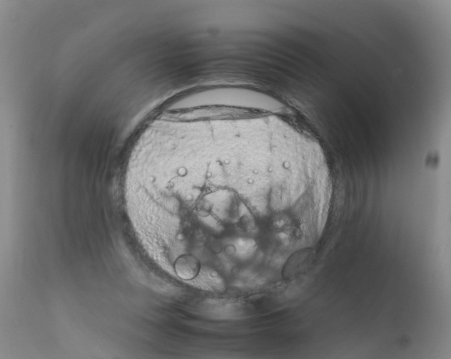 X0000111860351200909031757