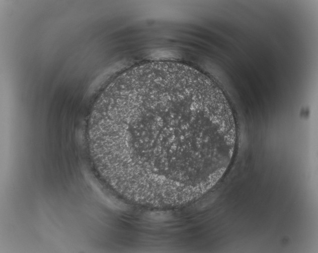 X0000111860353200909031757