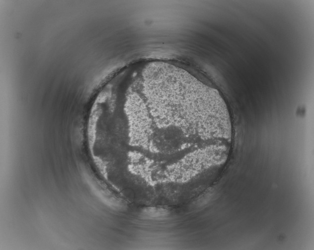 X0000111860354200909031757
