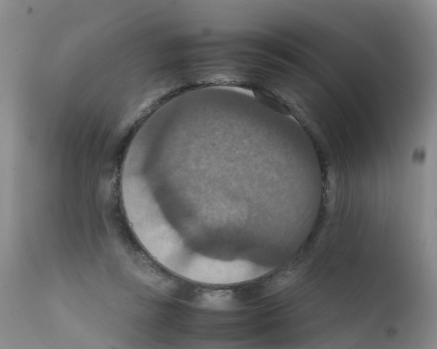 X0000111860355200909031757