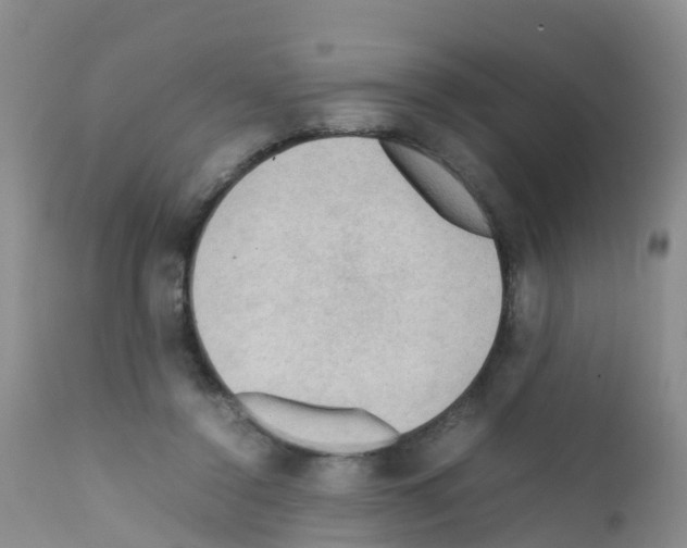 X0000111860356200909031757