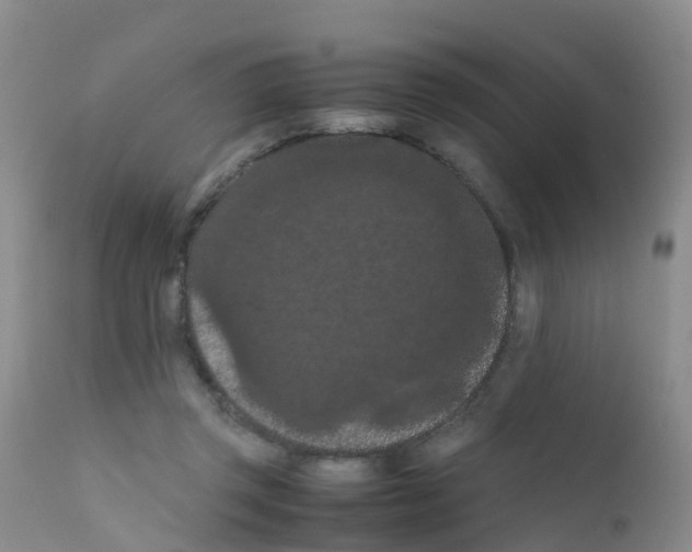 X0000111860357200909031757