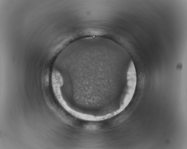 X0000111860358200909031757