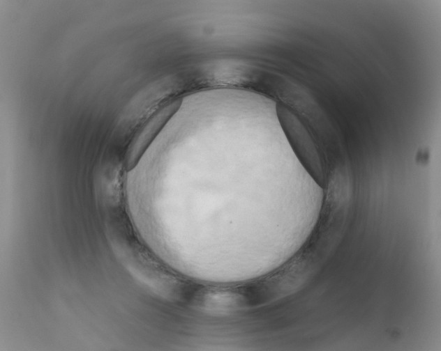 X0000111860360200909031757