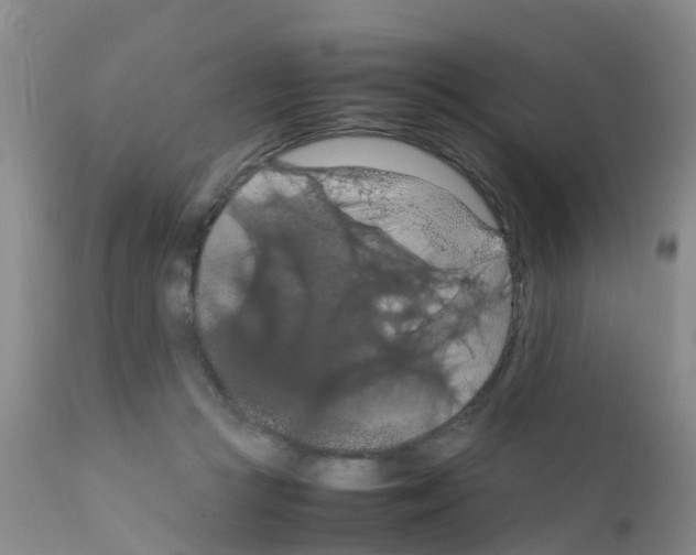 X0000111860361200909031757
