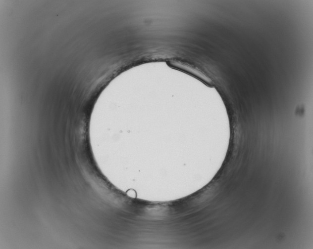 X0000111860362200909031757