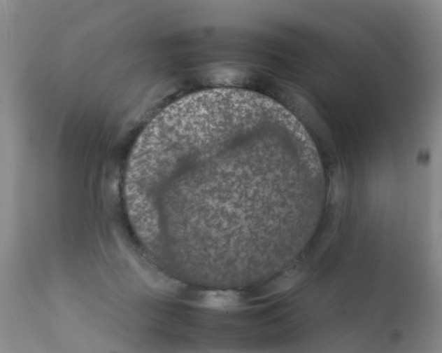 X0000111860363200909031757