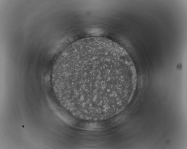 X0000111860365200909031757