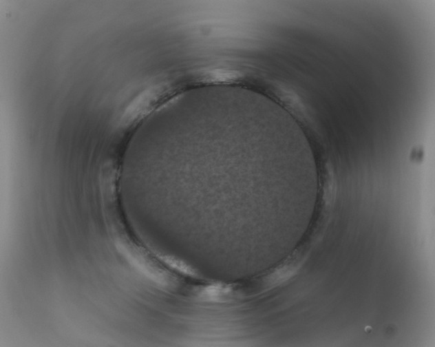 X0000111860366200909031757