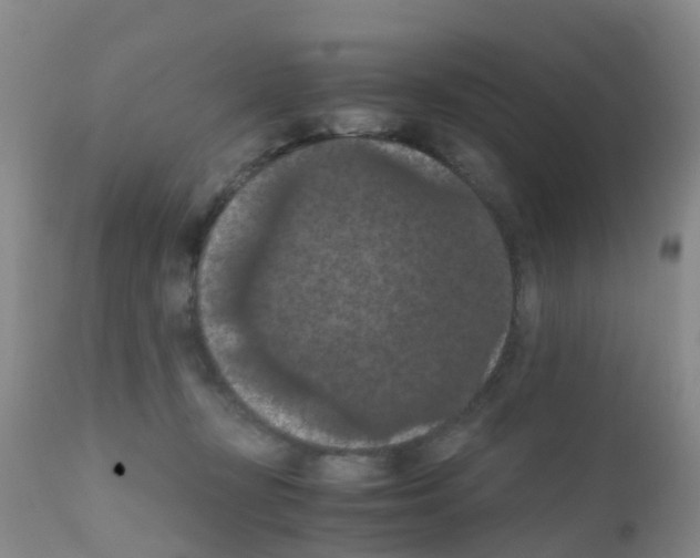 X0000111860367200909031757