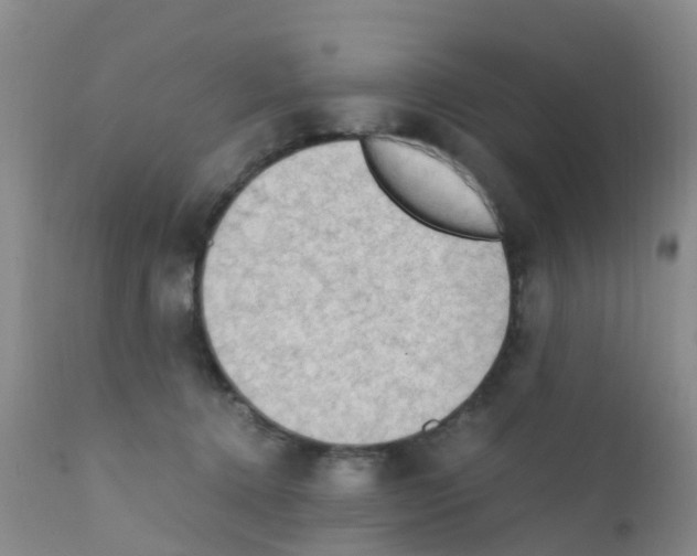 X0000111860368200909031757