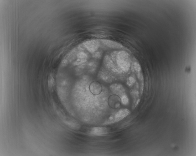 X0000111860371200909031757