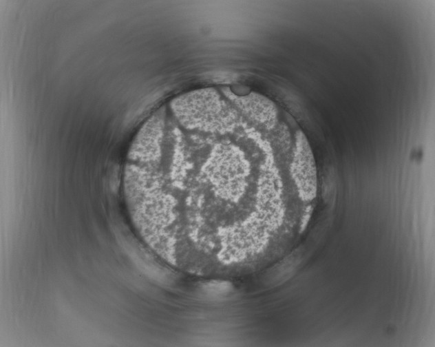 X0000111860374200909031757