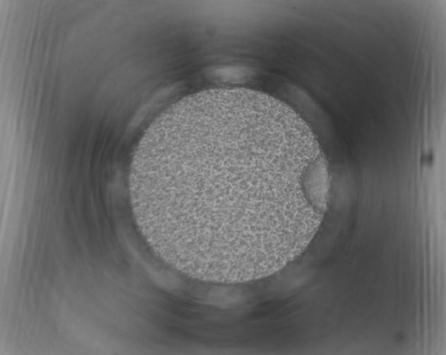X0000111860377200909031757