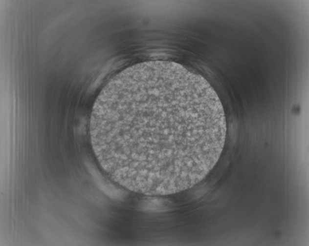 X0000111860379200909031757