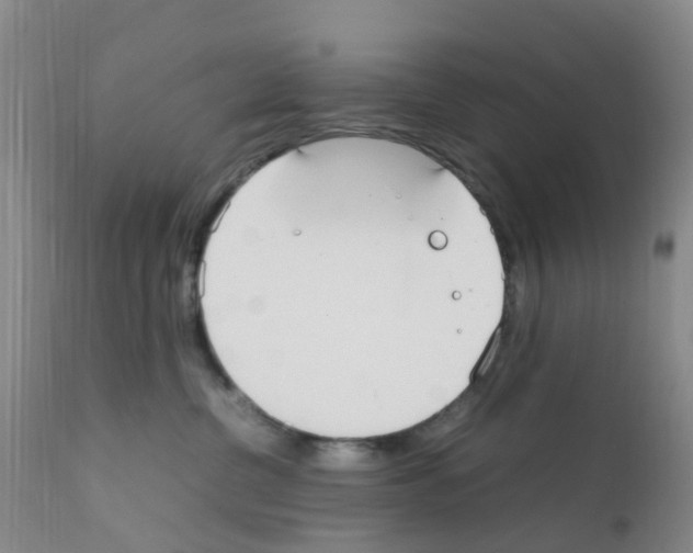 X0000111860380200909031757
