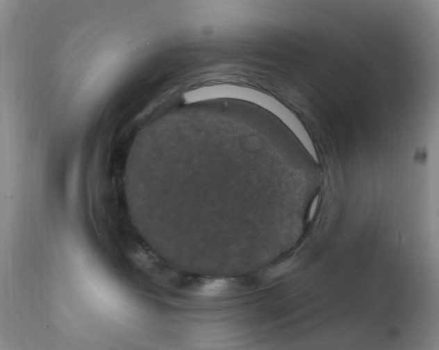 X0000111860382200909031757