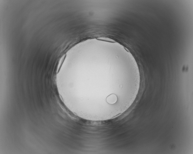 X0000111860384200909031757