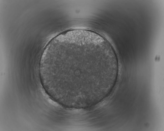 X0000111860385200909031756