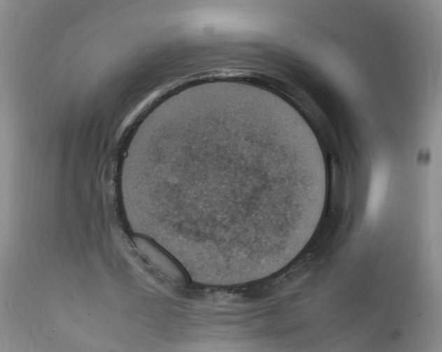 X0000111860387200909031756