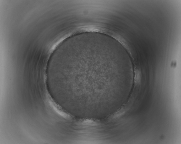 X0000111860390200909031756
