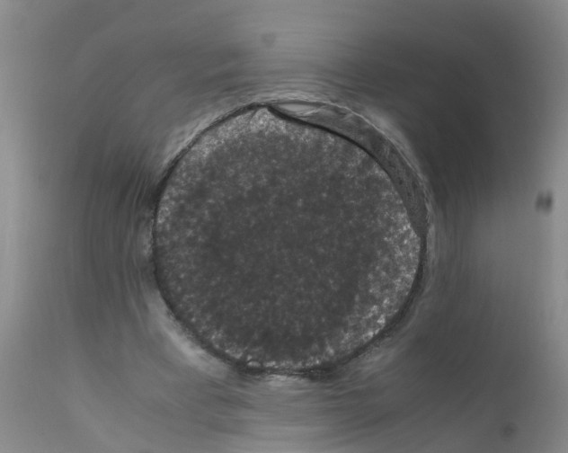 X0000111860393200909031756