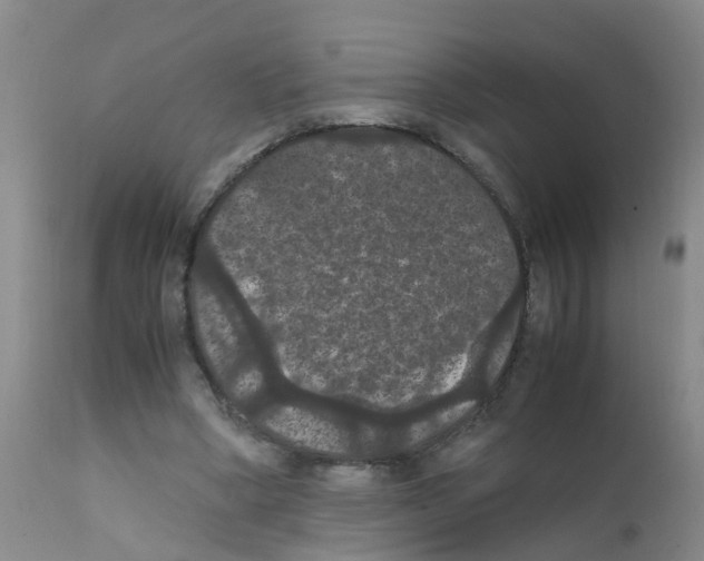 X0000111860394200909031756