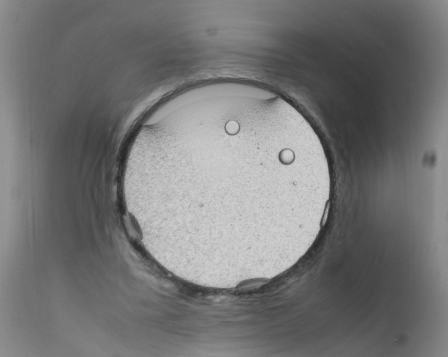 X0000111860395200909031756