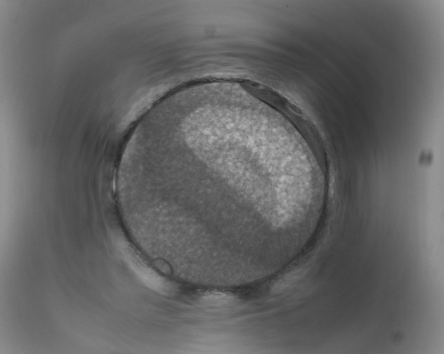 X0000111860397200909031756