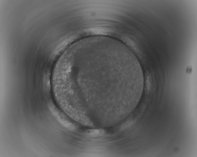 X0000111860398200909031756