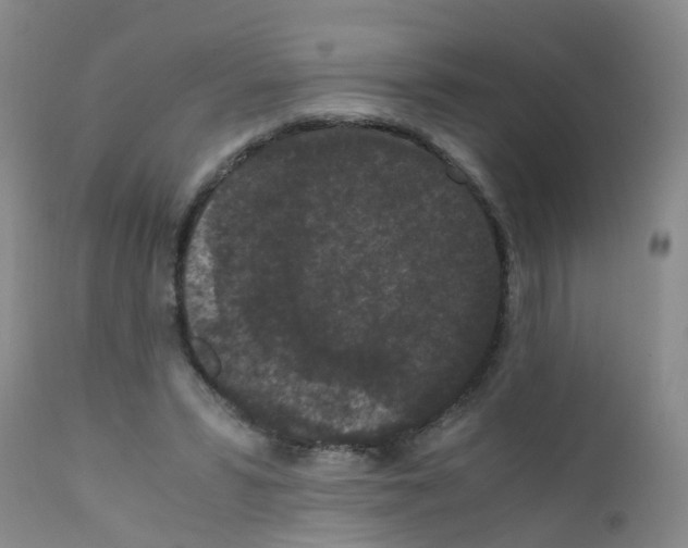 X0000111860399200909031756