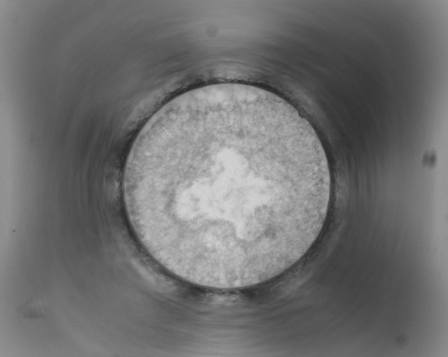 X0000111860401200909031756