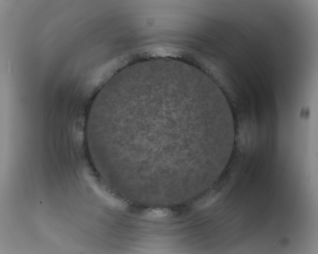 X0000111860402200909031756