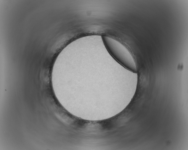 X0000111860403200909031756