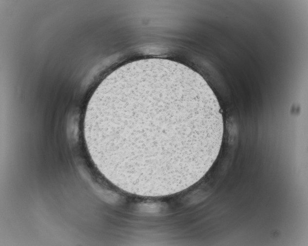 X0000111860404200909031756
