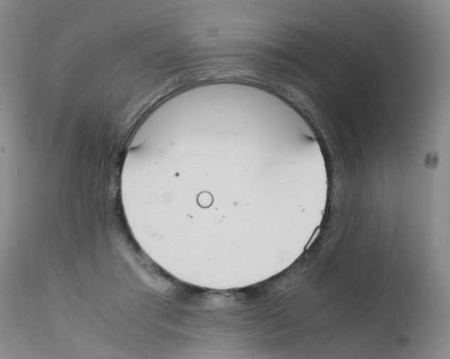 X0000111860405200909031756