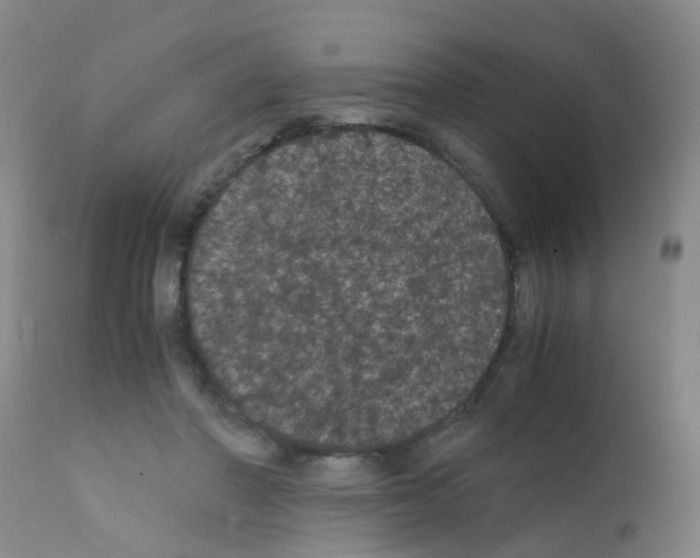 X0000111860406200909031756