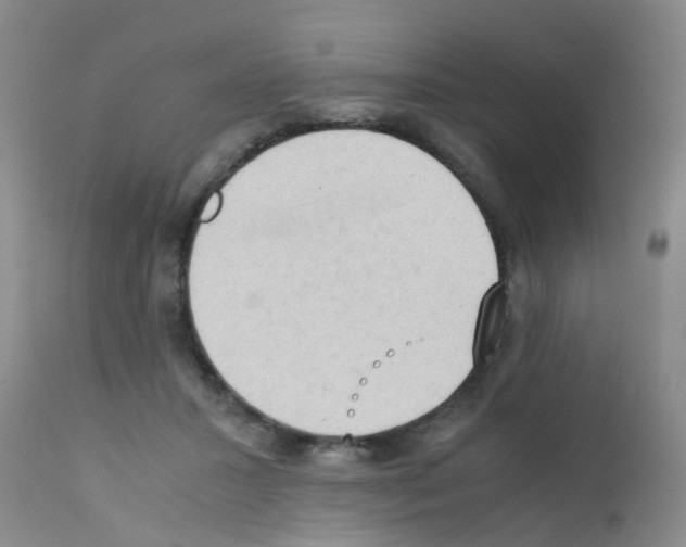 X0000111860407200909031756
