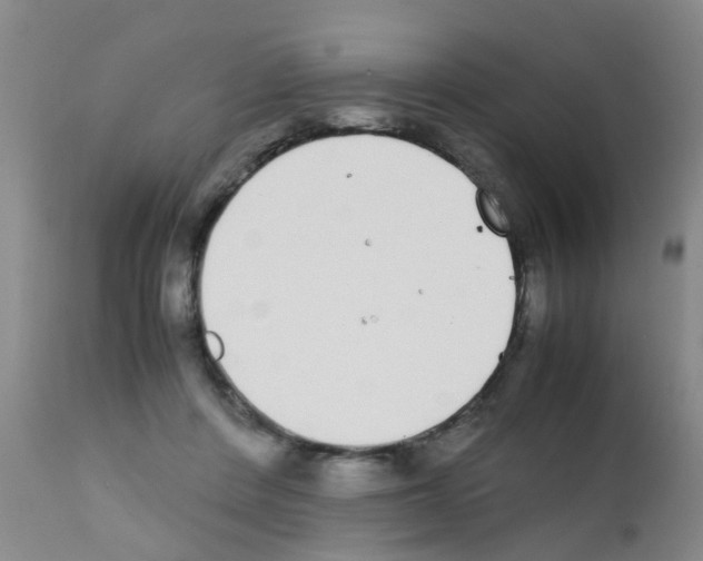 X0000111860408200909031756