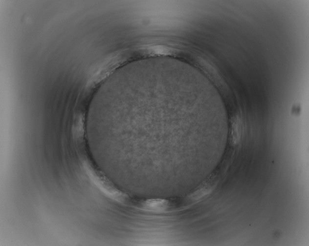 X0000111860410200909031756