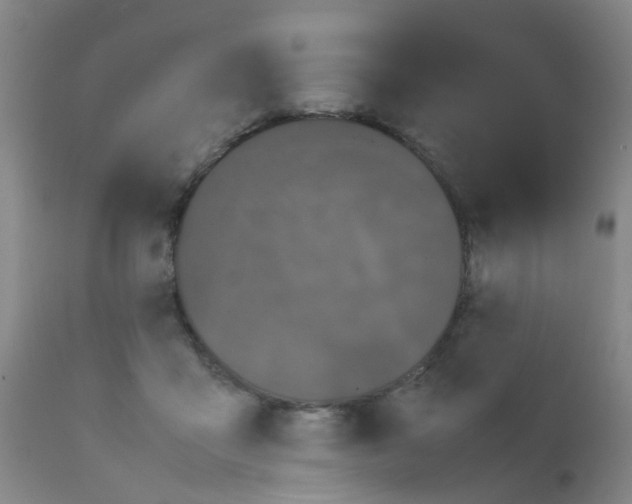 X0000111860411200909031756
