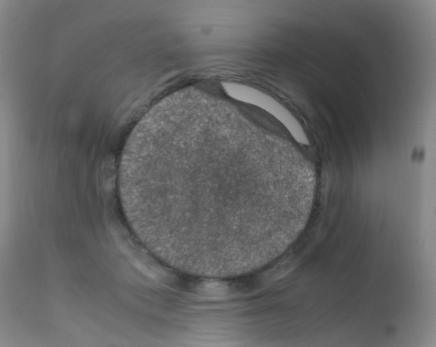 X0000111860413200909031756