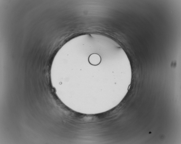 X0000111860415200909031756