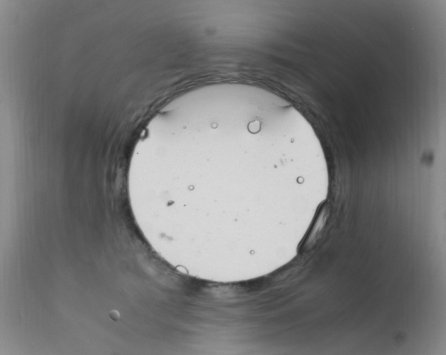 X0000111860417200909031756