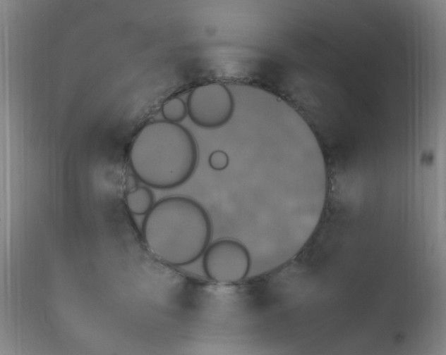 X0000111860419200909031756