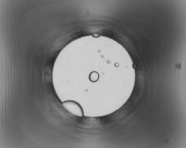 X0000111860421200909031756