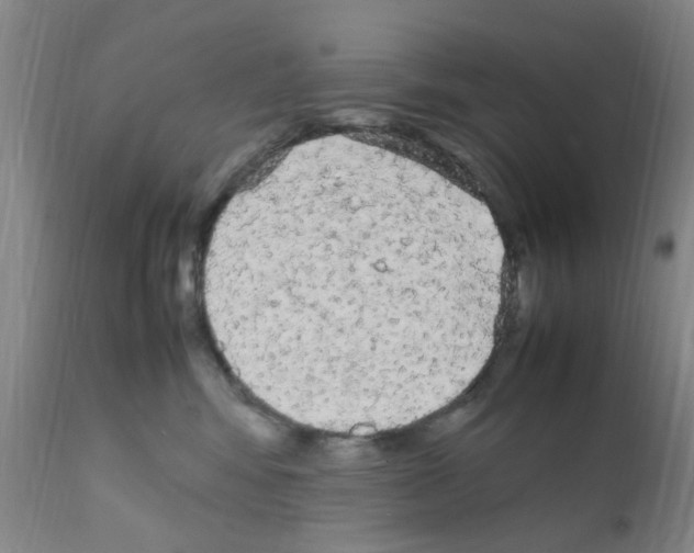 X0000111860424200909031755